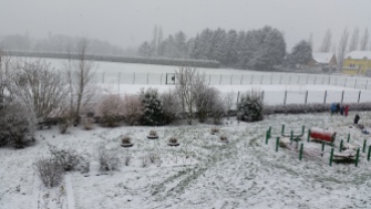 Snow in the school grounds